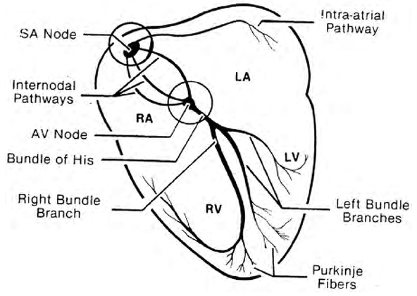 Conduction Drawing at GetDrawings | Free download