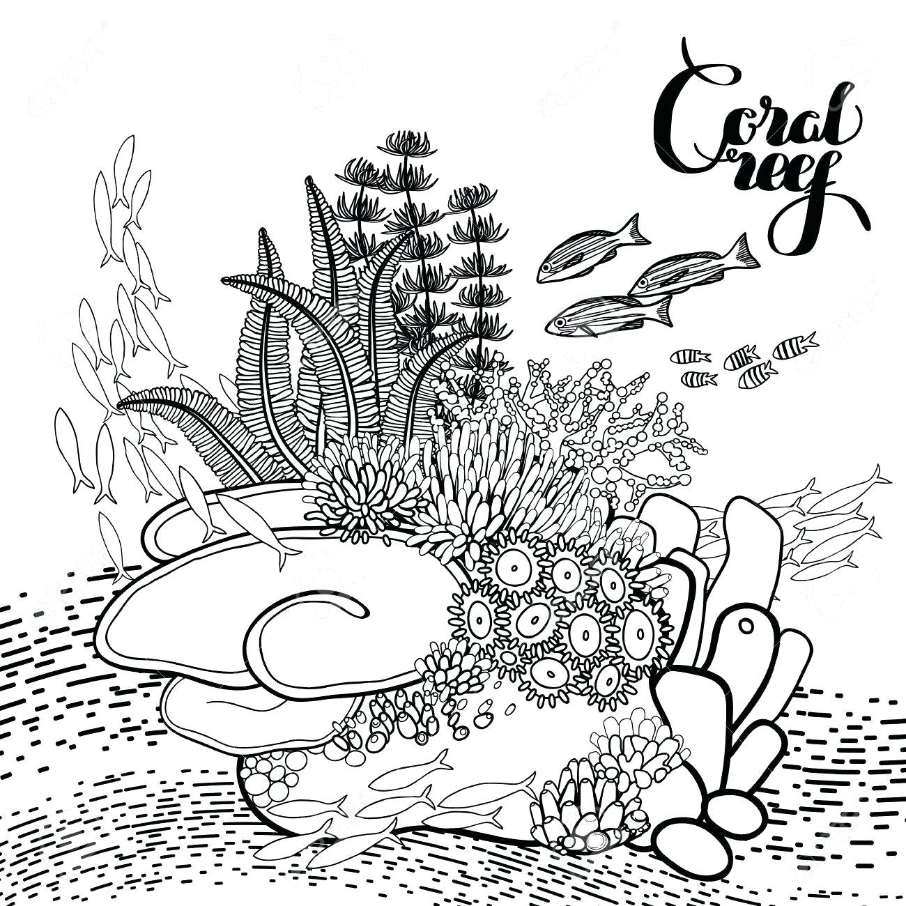 Coral Reef Drawing at GetDrawings Free download