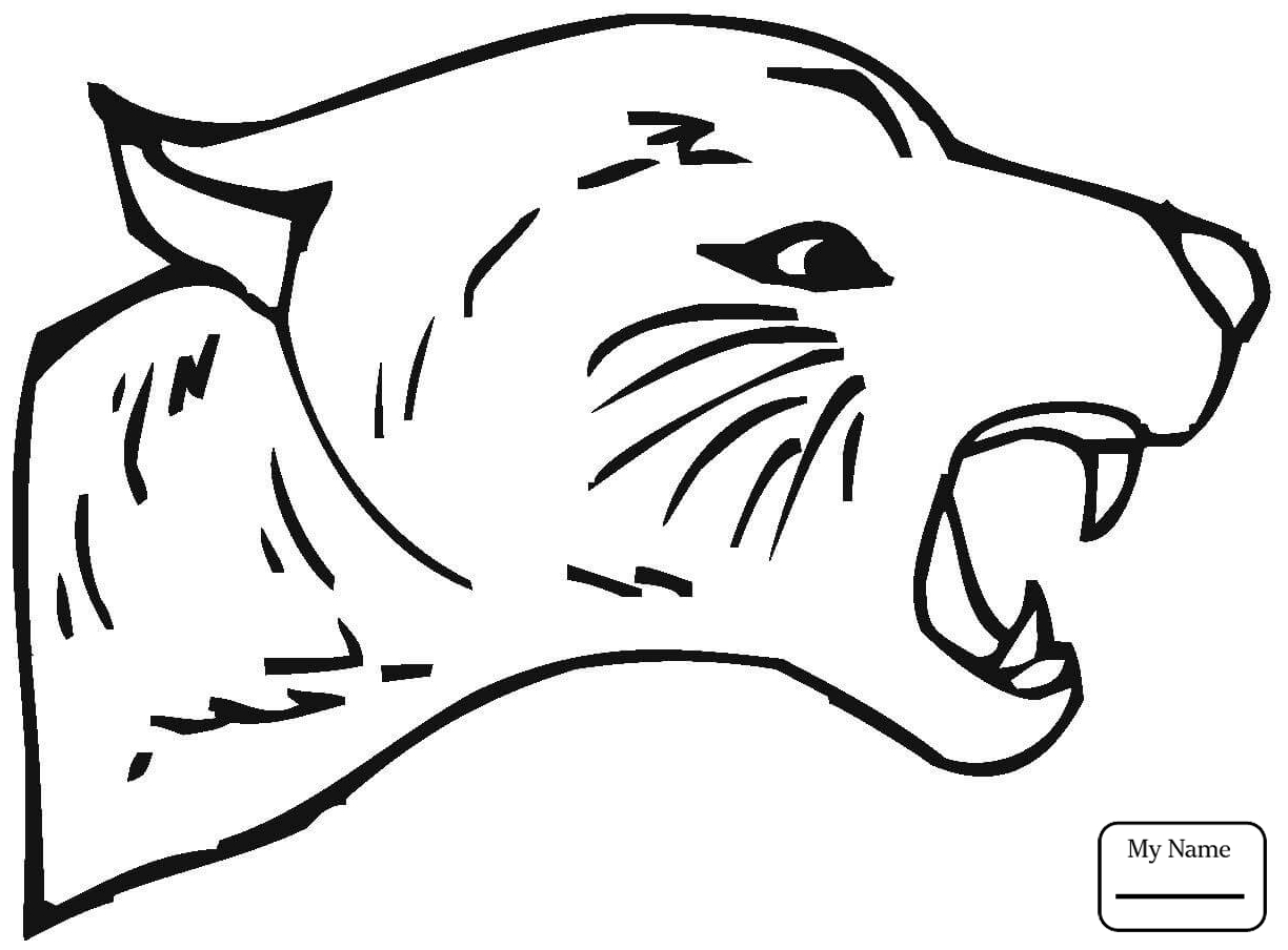 Раскраска пантера морда