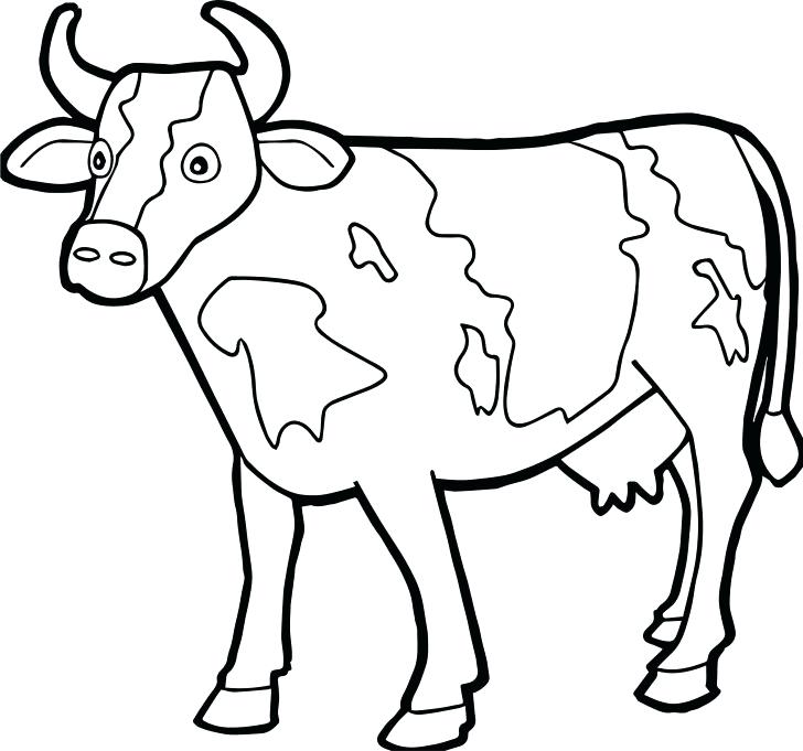 Cow And Calf Drawing at GetDrawings Free download