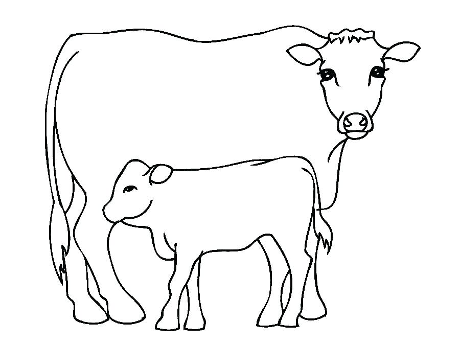 Cow And Calf Drawing at GetDrawings | Free download