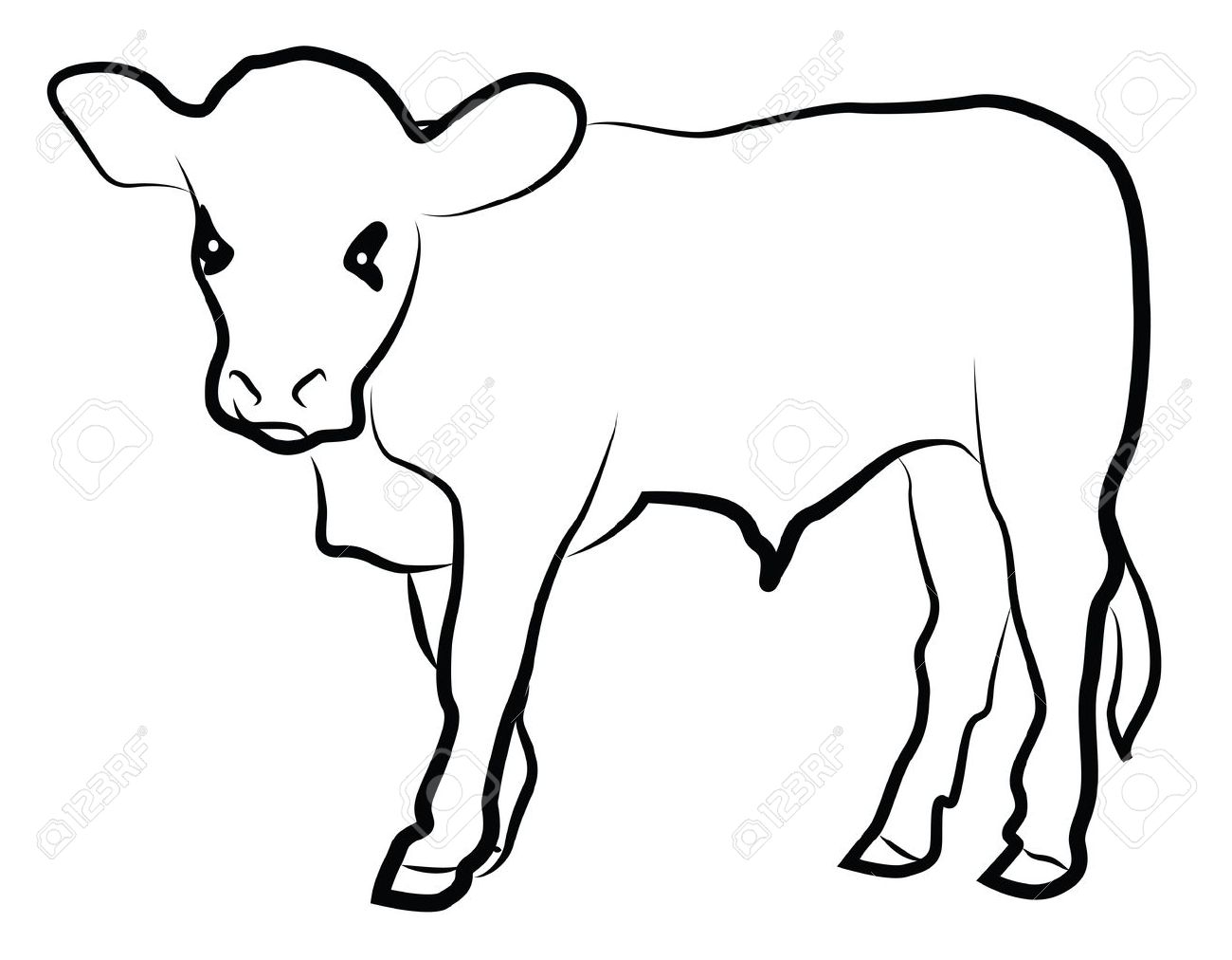 cow-and-calf-drawing-at-getdrawings-free-download