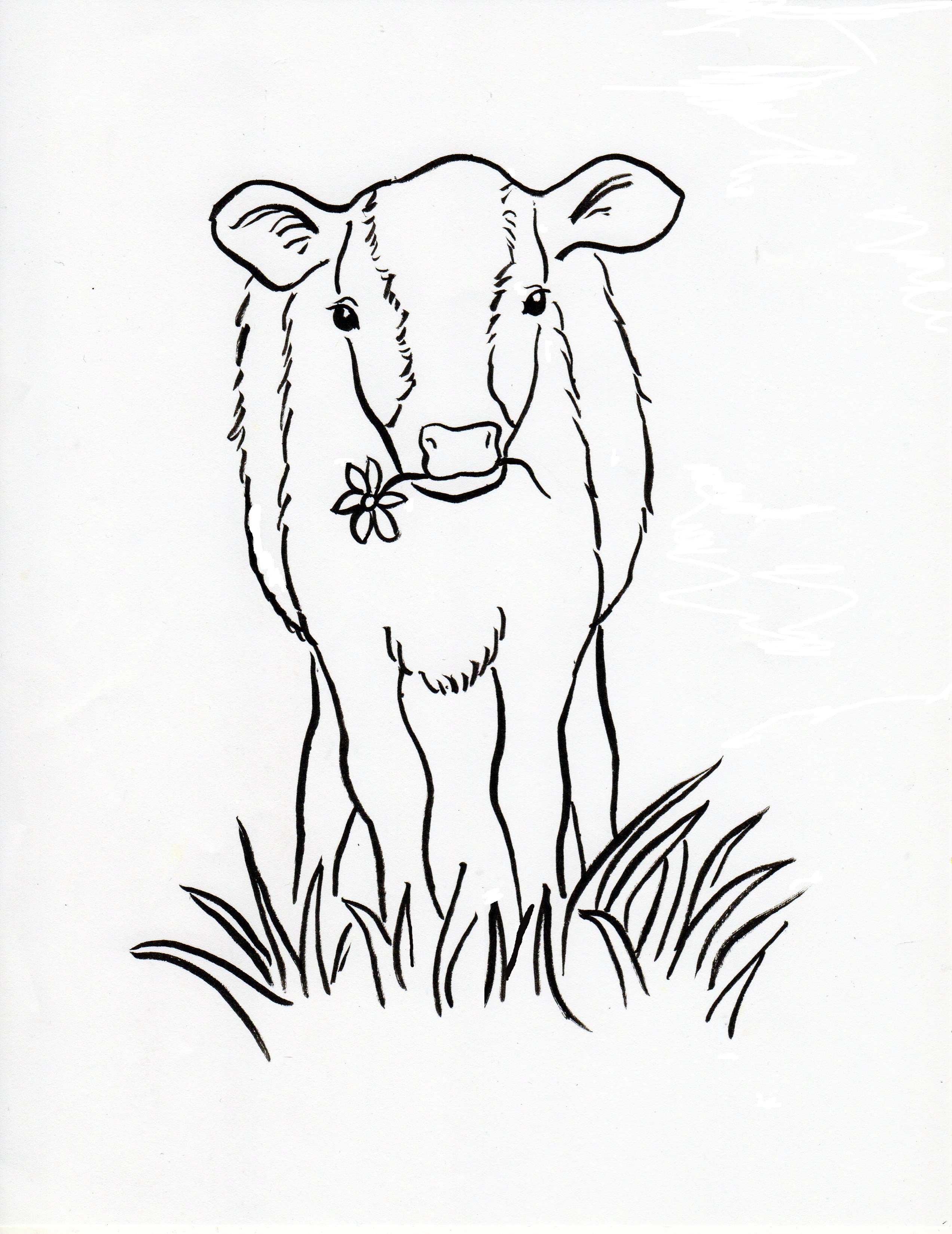 Cow Calf Drawing at GetDrawings | Free download