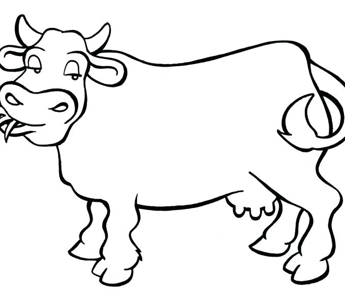 Cow Line Drawing at GetDrawings | Free download