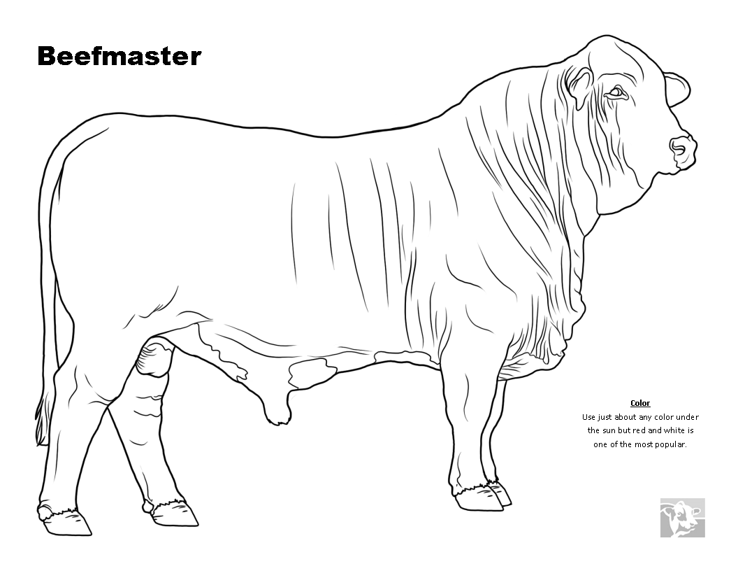 Cow Outline Drawing at GetDrawings | Free download
