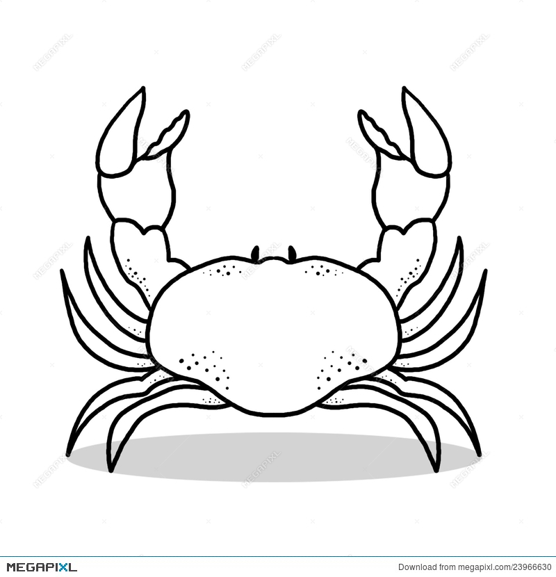 Crab Outline Drawing at GetDrawings Free download