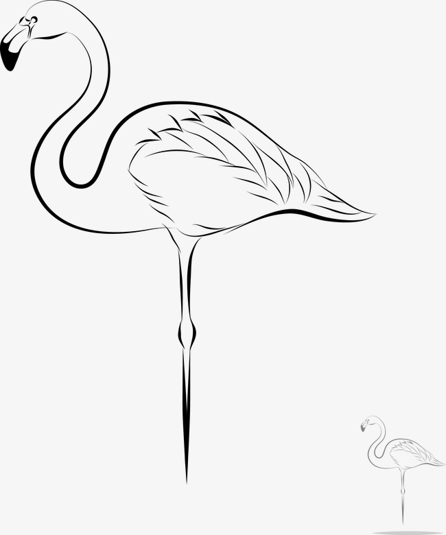 Crane Bird Drawing at GetDrawings | Free download