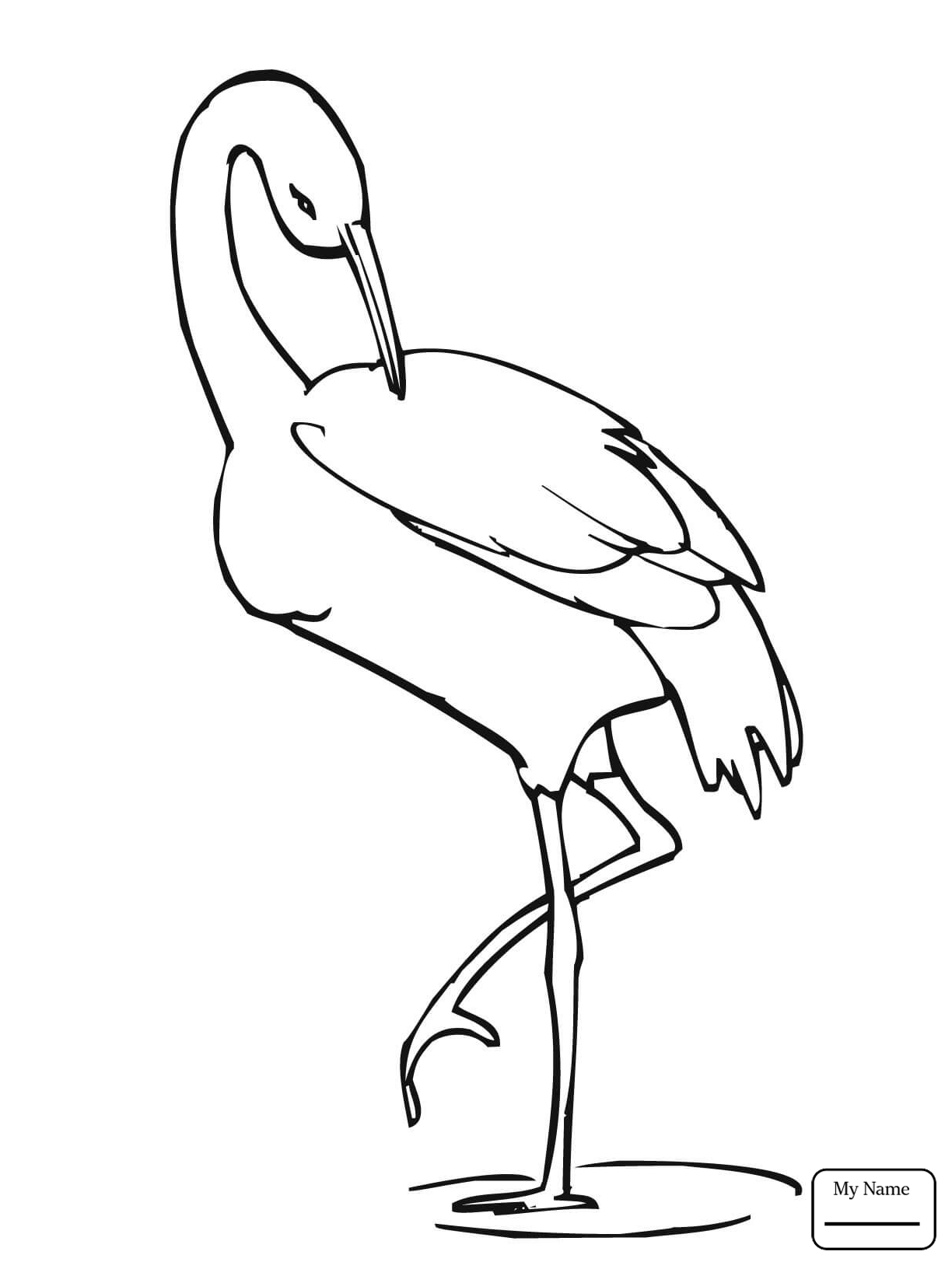 Crane Bird Drawing at GetDrawings | Free download