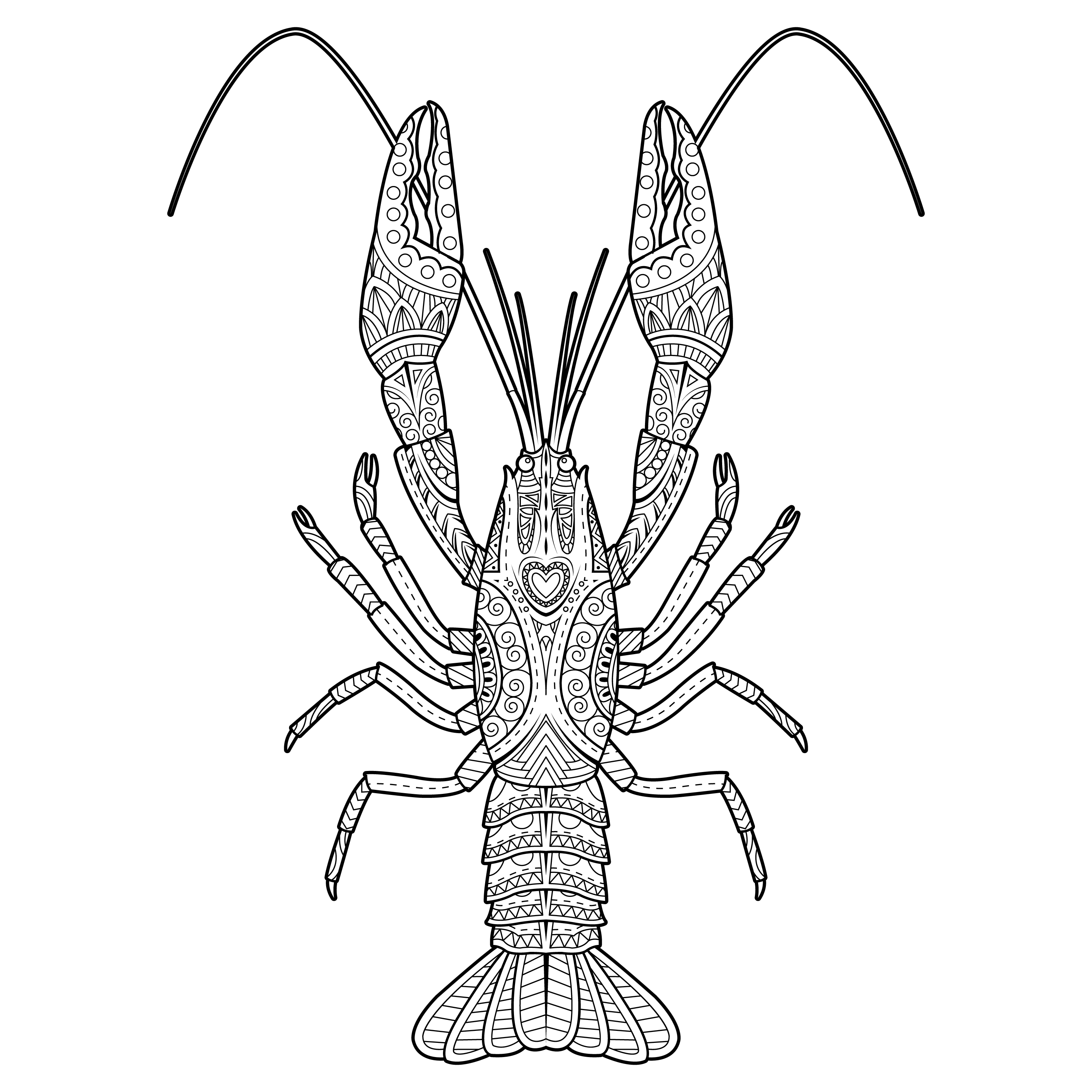 The best free Crawfish drawing images. Download from 76 free drawings