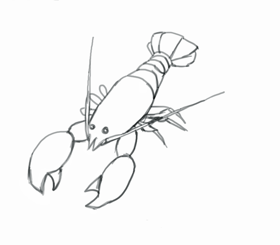 Crayfish Drawing at GetDrawings | Free download