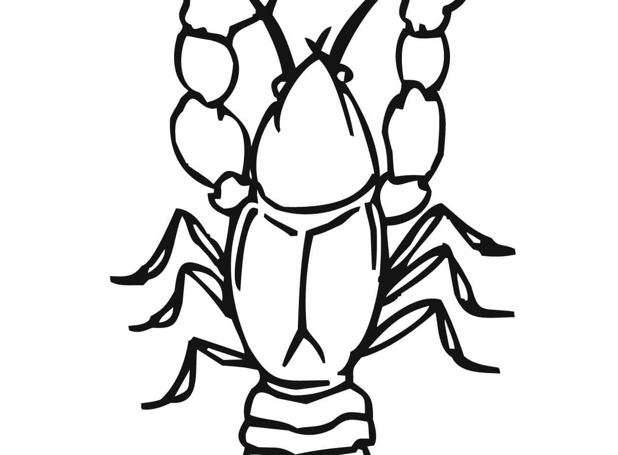 The best free Crawfish drawing images. Download from 76 free drawings