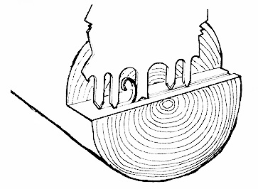 Crosscut Saw Drawing at GetDrawings | Free download