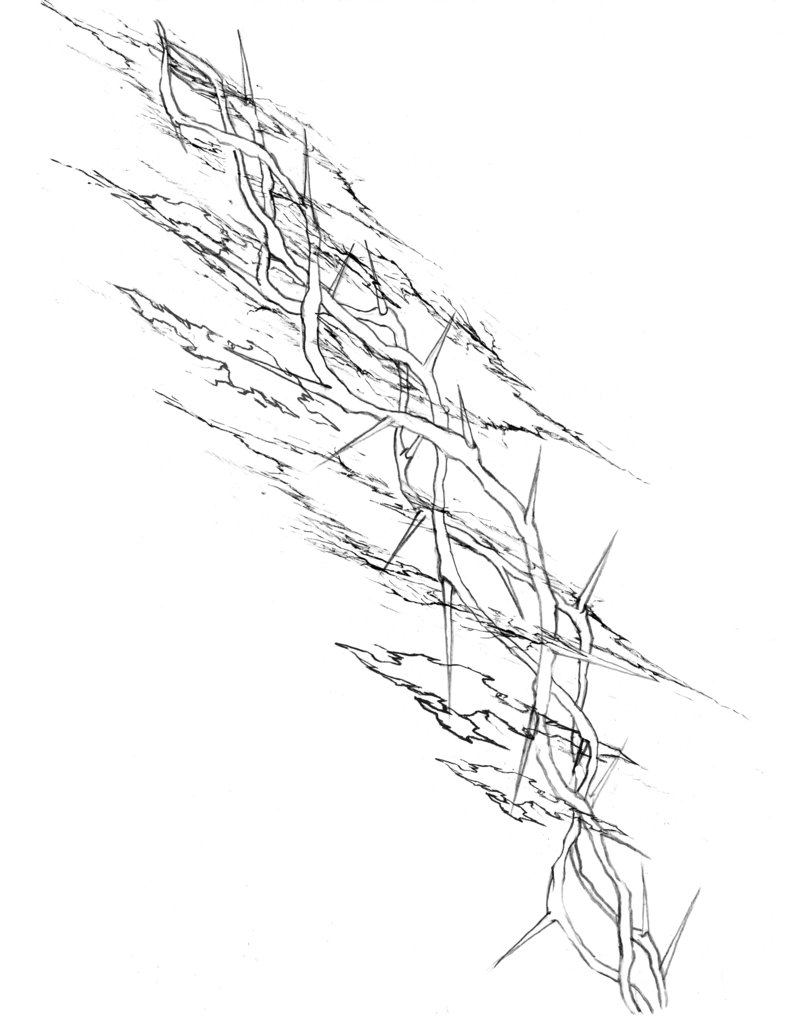 Crown Of Thorns Drawing at GetDrawings | Free download