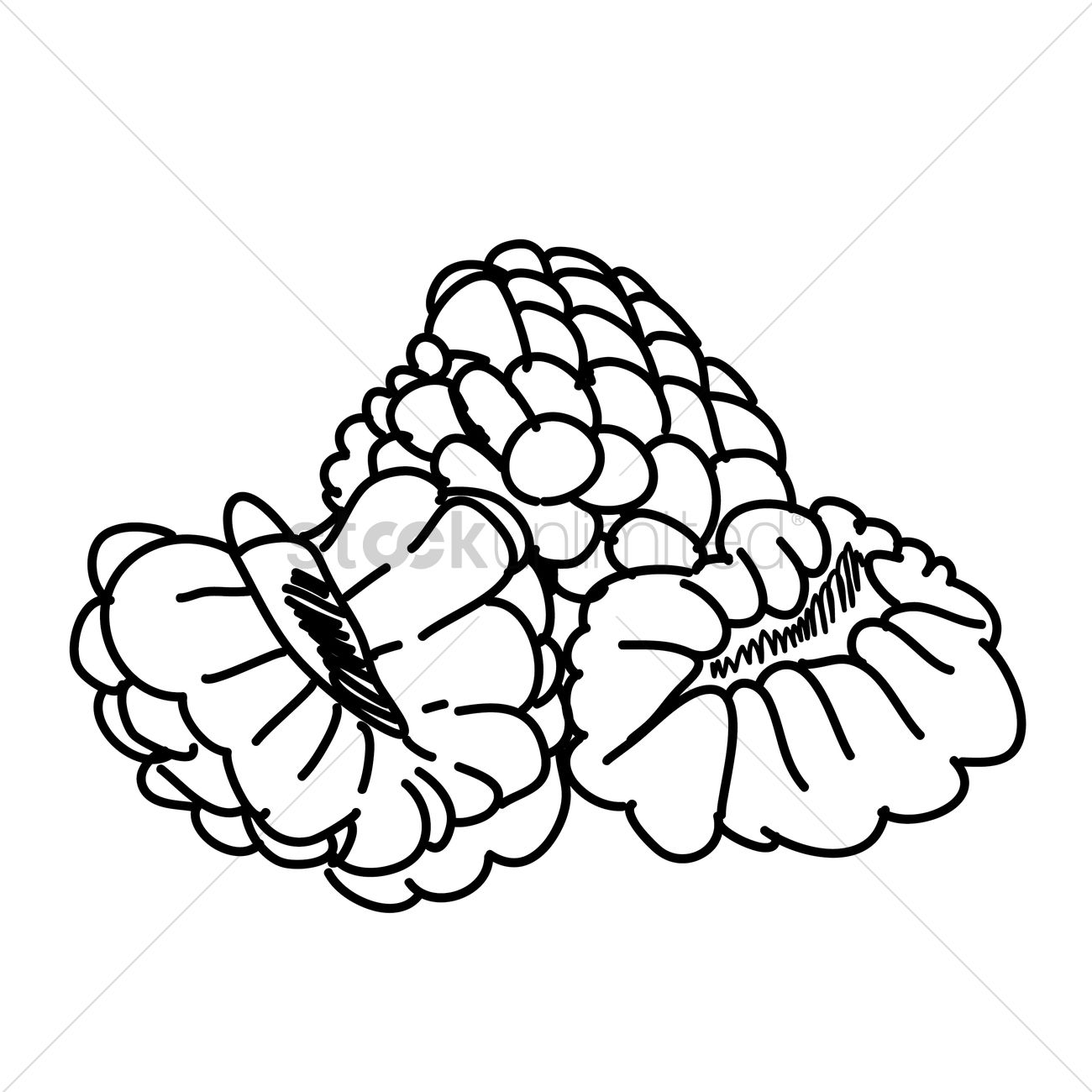 Custard Apple Drawing at GetDrawings | Free download