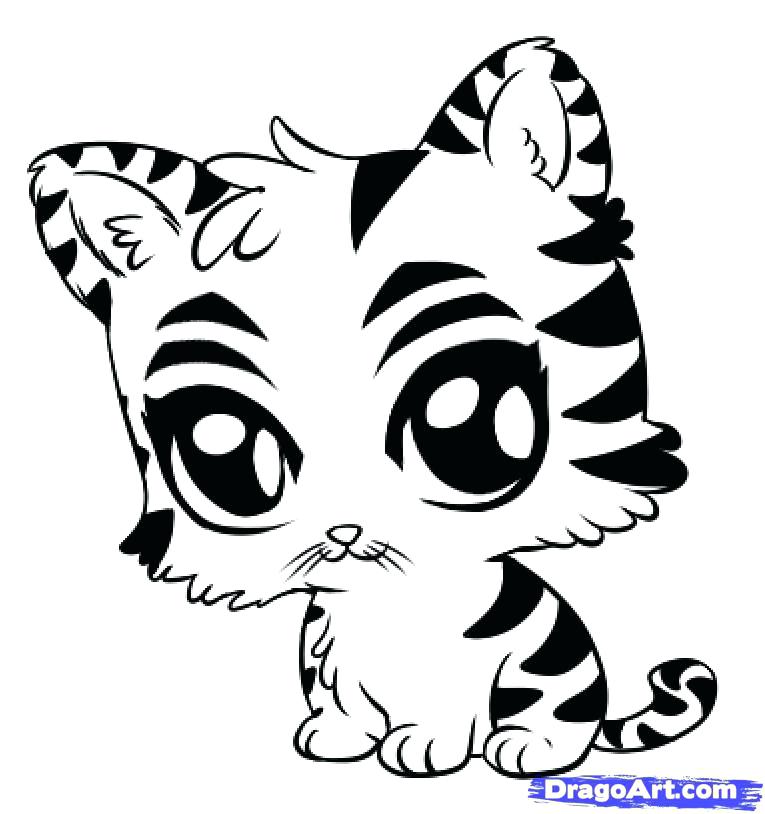 Cute Animal Drawing at GetDrawings Free download