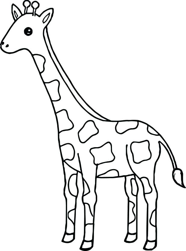 Cute Baby Giraffe Drawing at GetDrawings | Free download