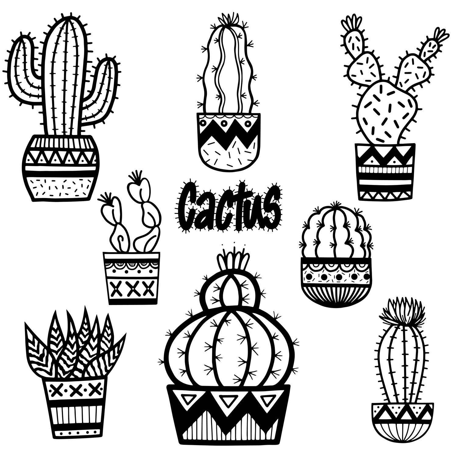 easy contour cactus