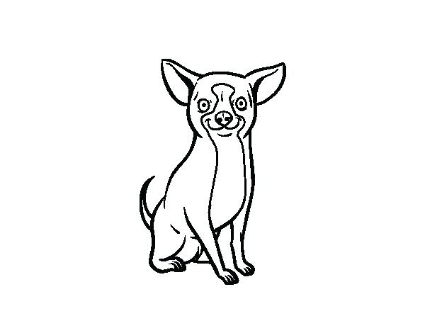 Cute Chihuahua Drawing at GetDrawings | Free download