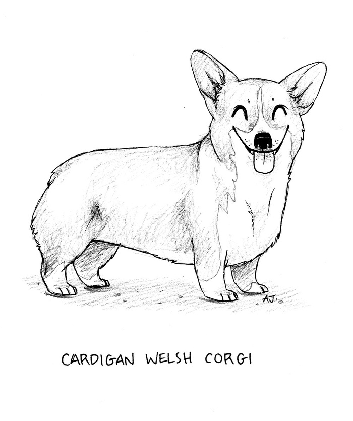 how-to-draw-a-dog-draw-easy-for-kids-drawing-step-by-step-cardigan