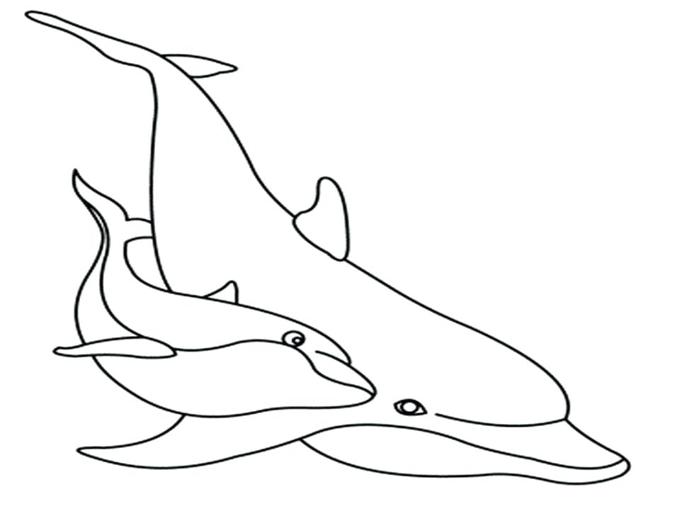 Cute Dolphin Drawing at GetDrawings | Free download