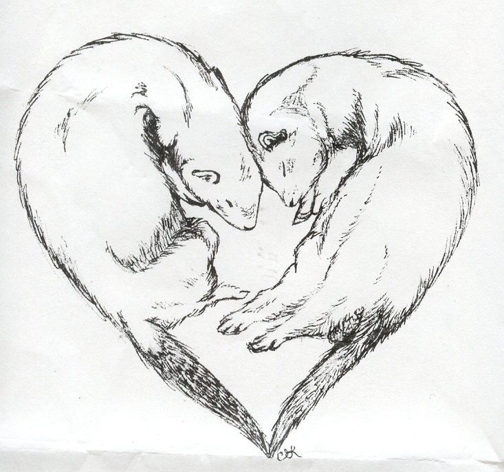 Cute Ferret Drawing at GetDrawings | Free download
