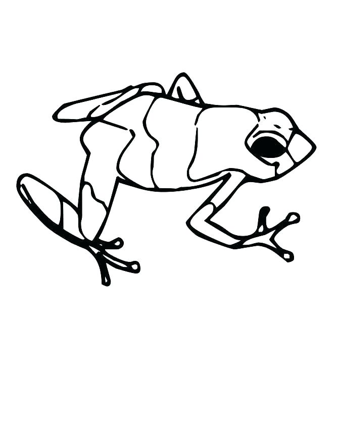 Cute Frog Drawing at GetDrawings | Free download