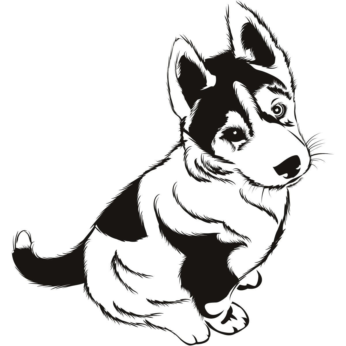 Cute Husky Drawing at GetDrawings Free download