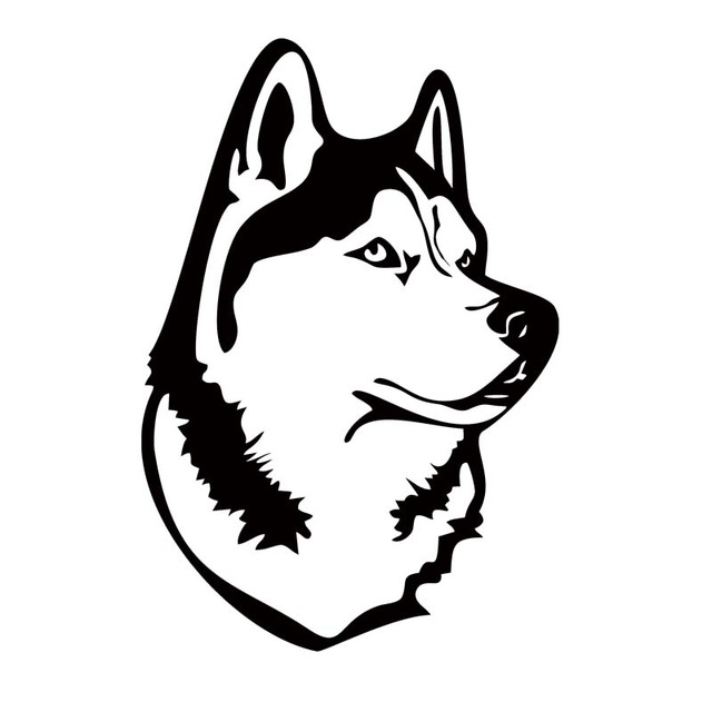 Cute Husky Drawing at GetDrawings | Free download