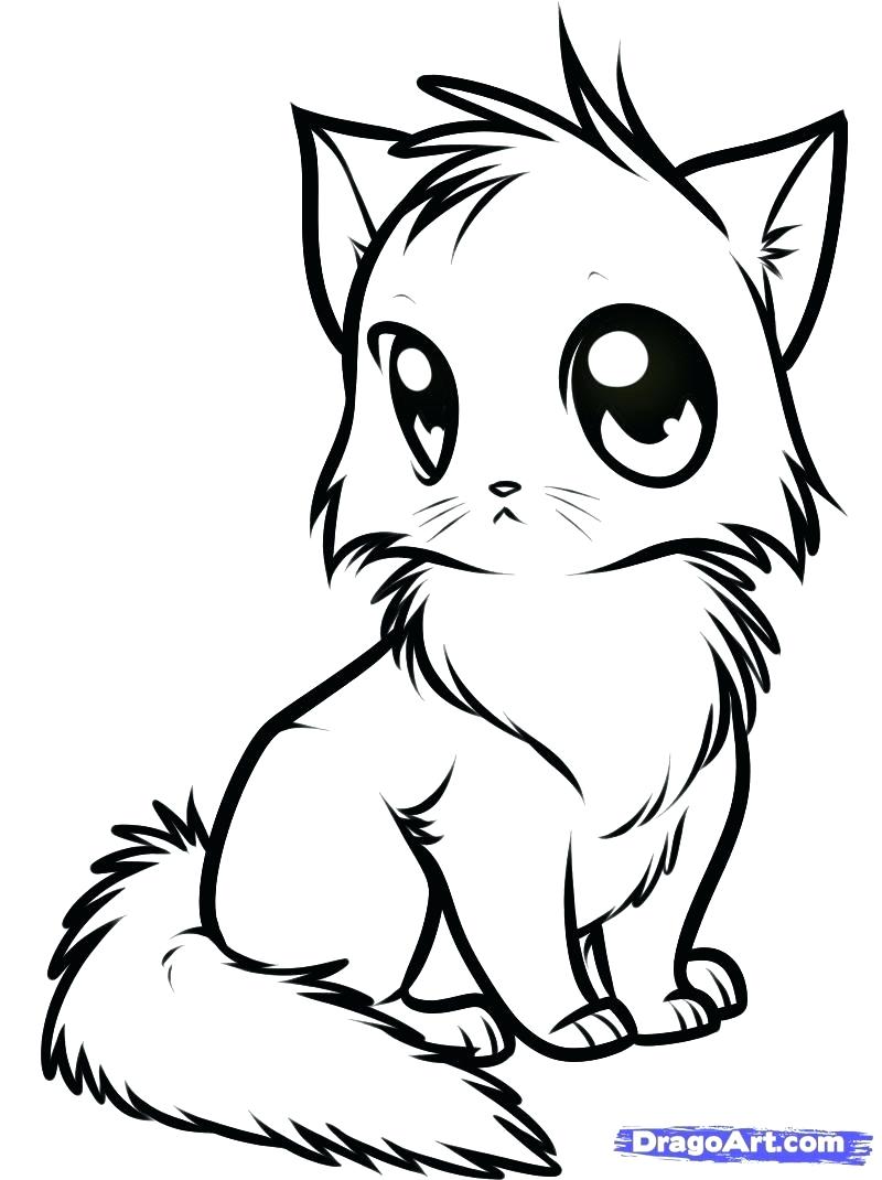 800x1070 monumental cute kitten coloring pages extraordinary baby kittens