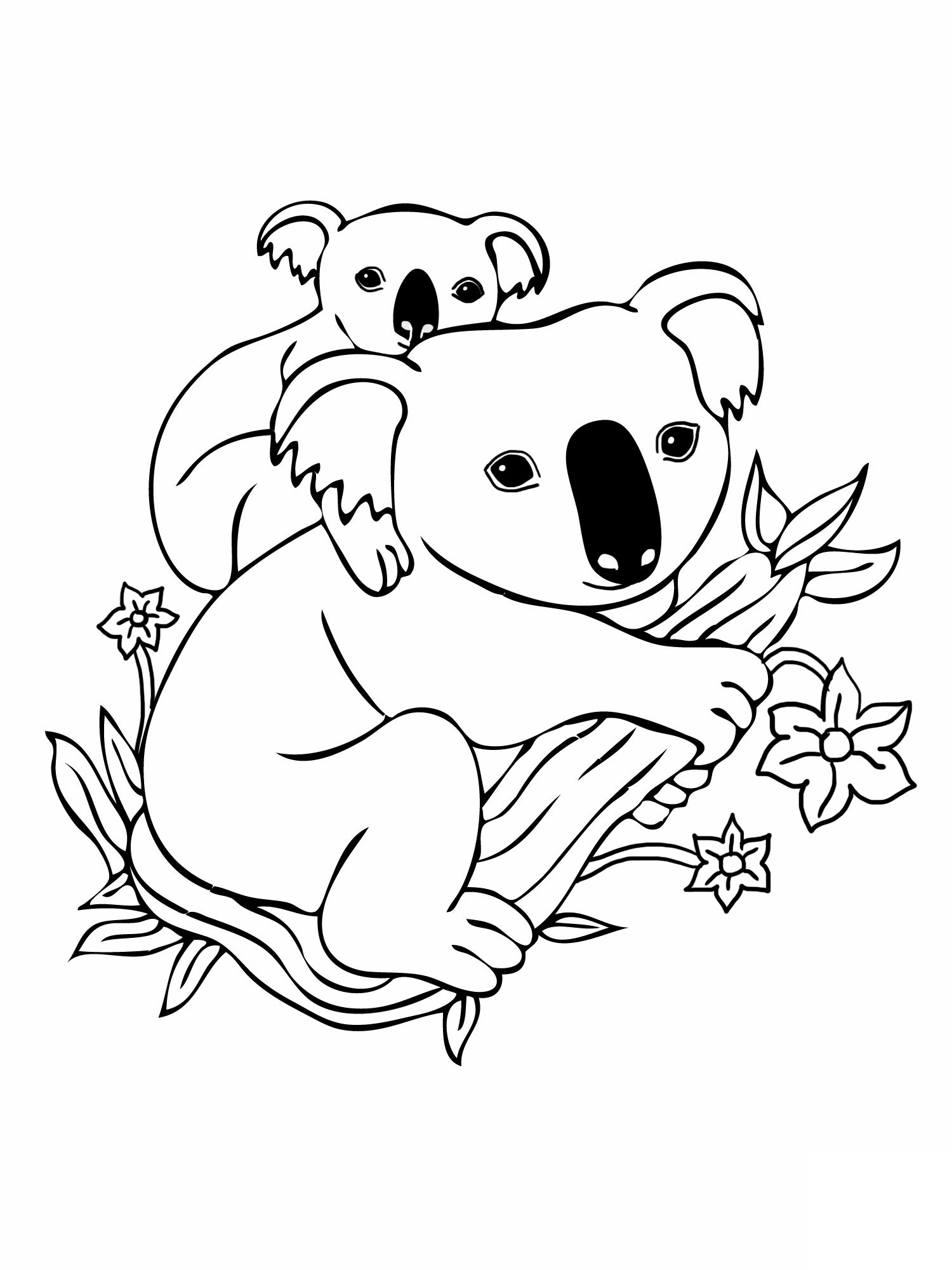 Cute Koala Drawing at GetDrawings | Free download