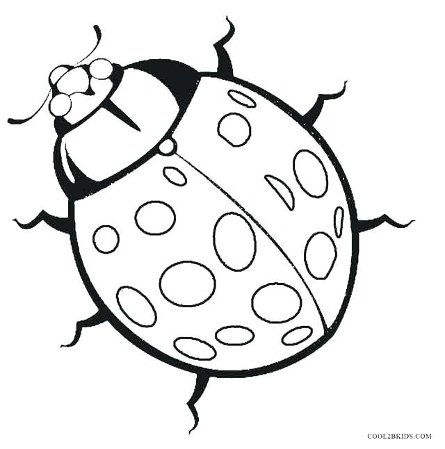 Cute Ladybug Drawing at GetDrawings | Free download