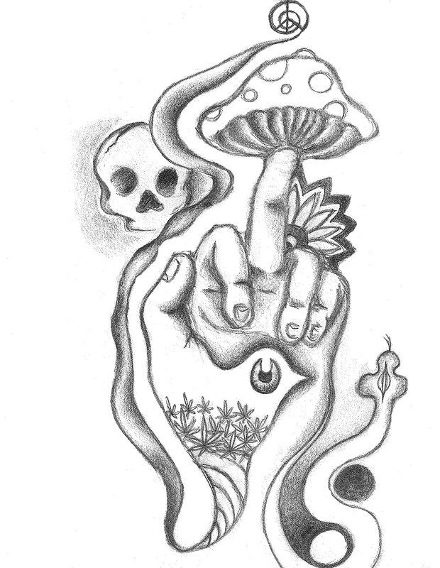 Featured image of post Indie Drawings Easy Mushroom
