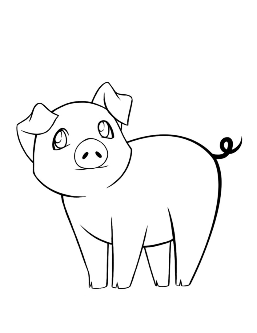 Download Cute Pig Drawing at GetDrawings | Free download