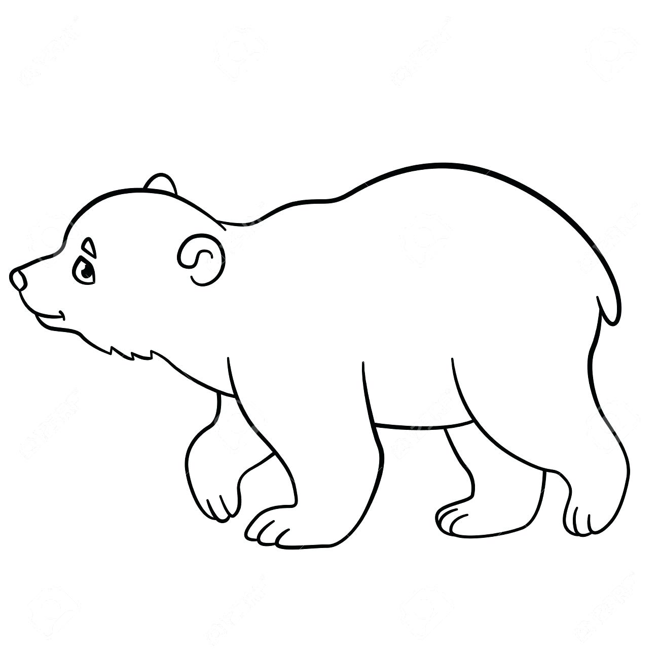 Cute Polar Bear Drawing at GetDrawings | Free download