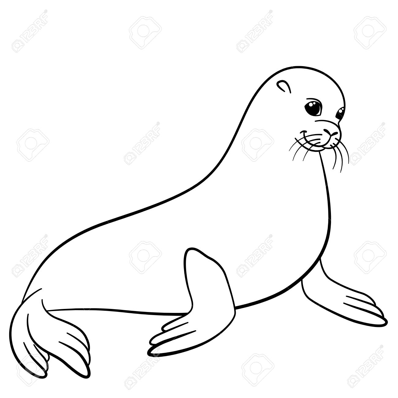 Cute Seal Drawing at GetDrawings | Free download