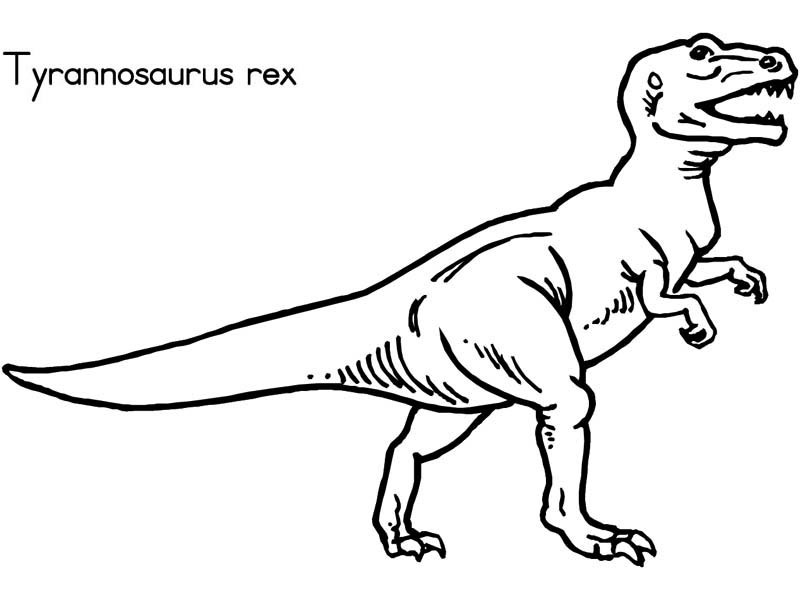 cute t rex drawing at getdrawings  free download