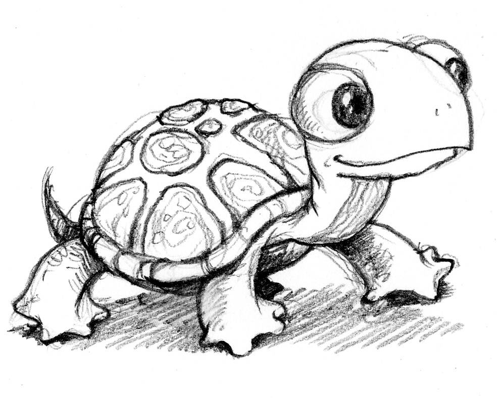 Cute Turtle Drawing at GetDrawings Free download