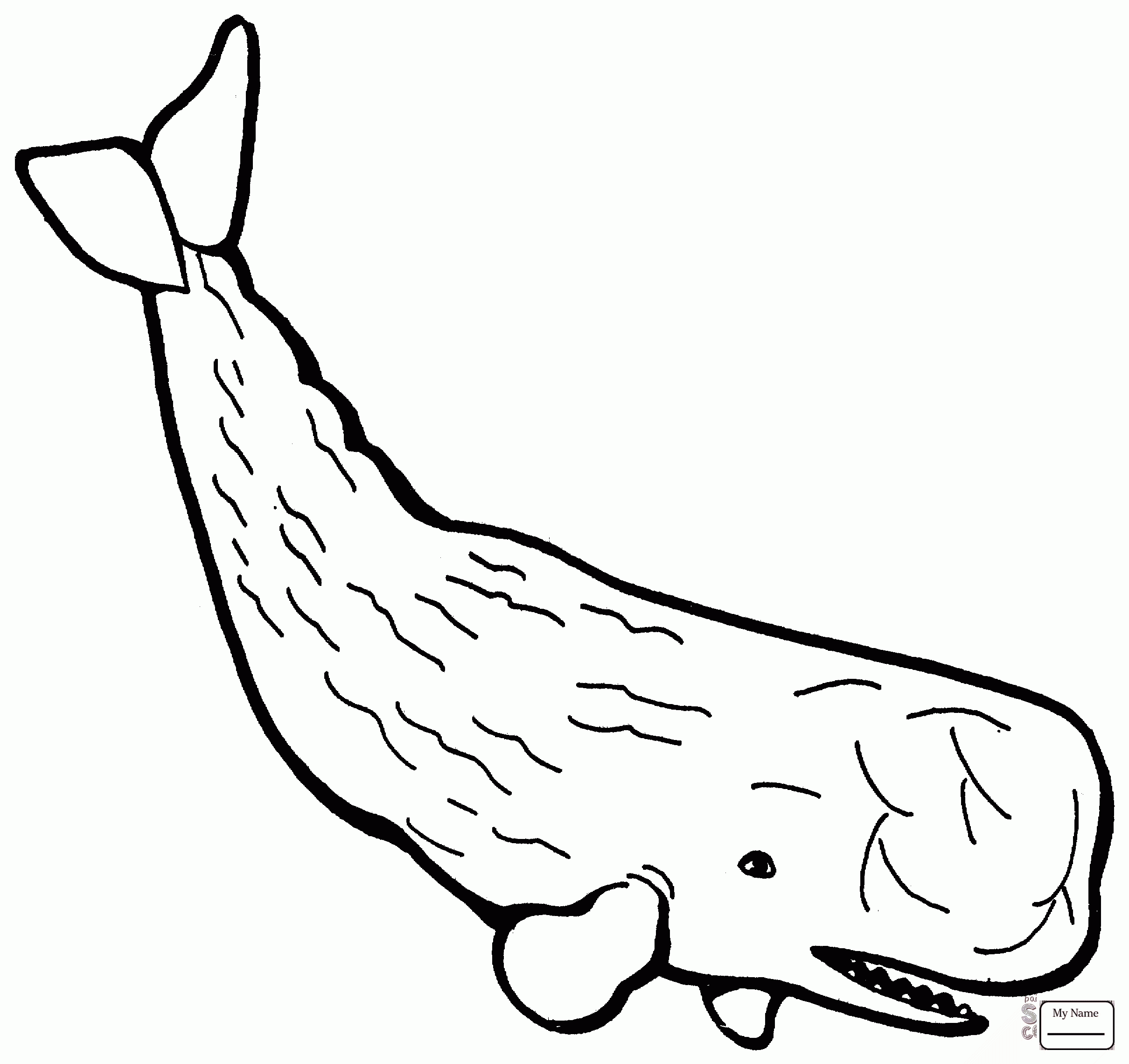 Cute Whale Drawing at GetDrawings | Free download