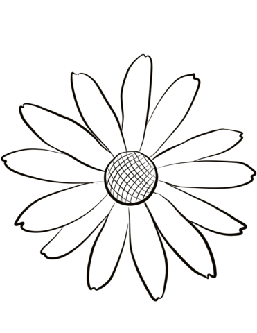 Daisy Drawing Outline at GetDrawings | Free download