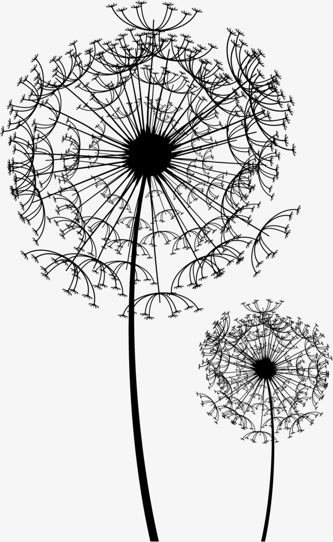 The best free Dandelion drawing images. Download from 529 free drawings