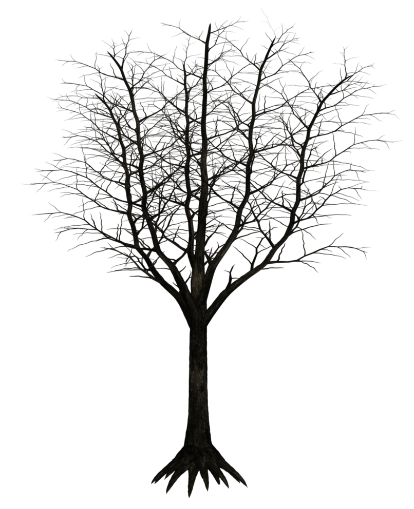 Dark Tree Drawing at GetDrawings Free download