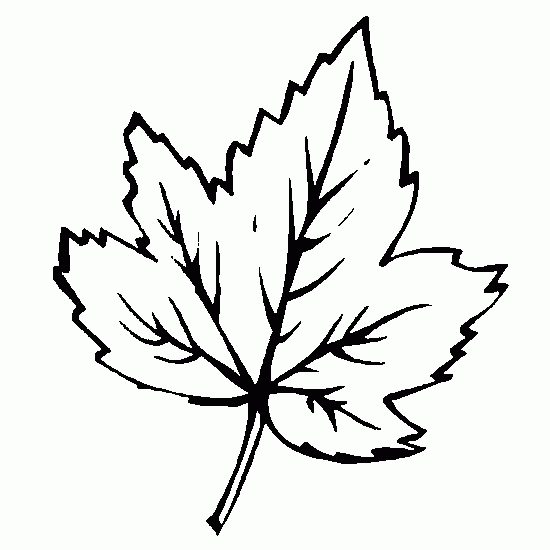Dead Leaf Drawing at GetDrawings Free download