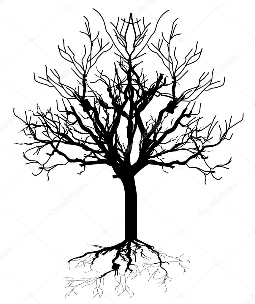 Мертвое дерево вектор