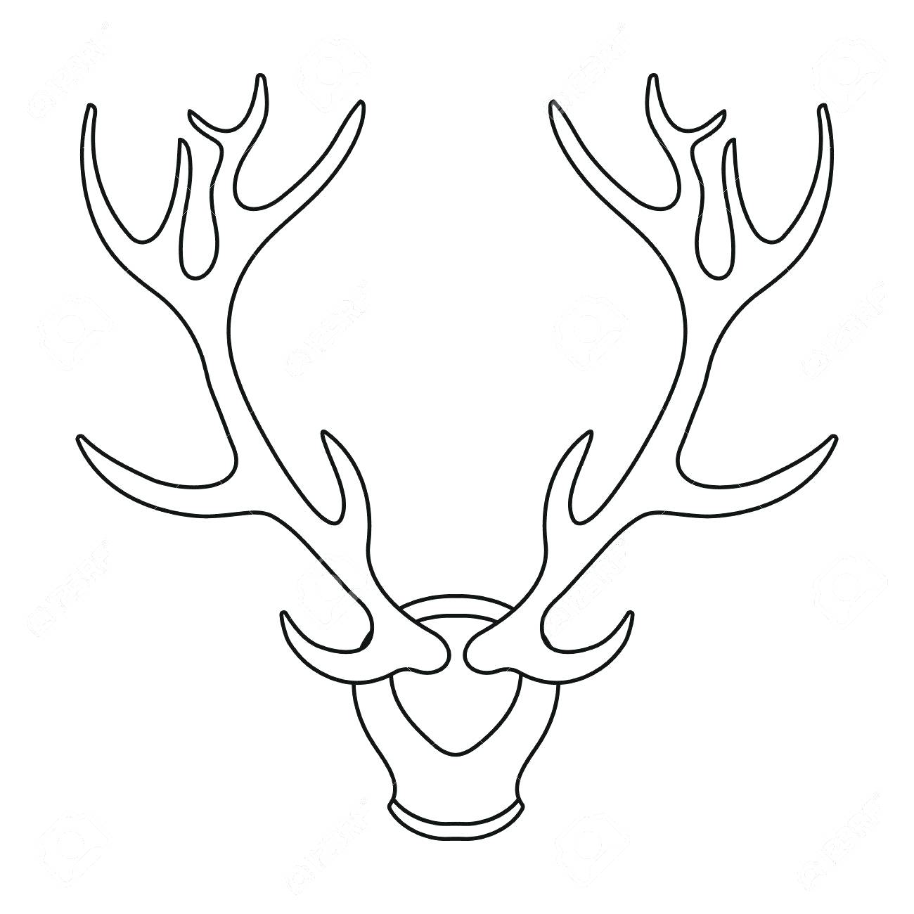 deer-antler-drawing-at-getdrawings-free-download