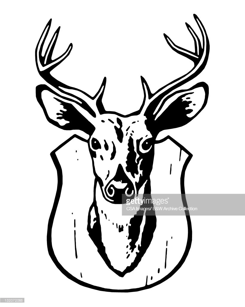 Deer Head Line Drawing at GetDrawings | Free download