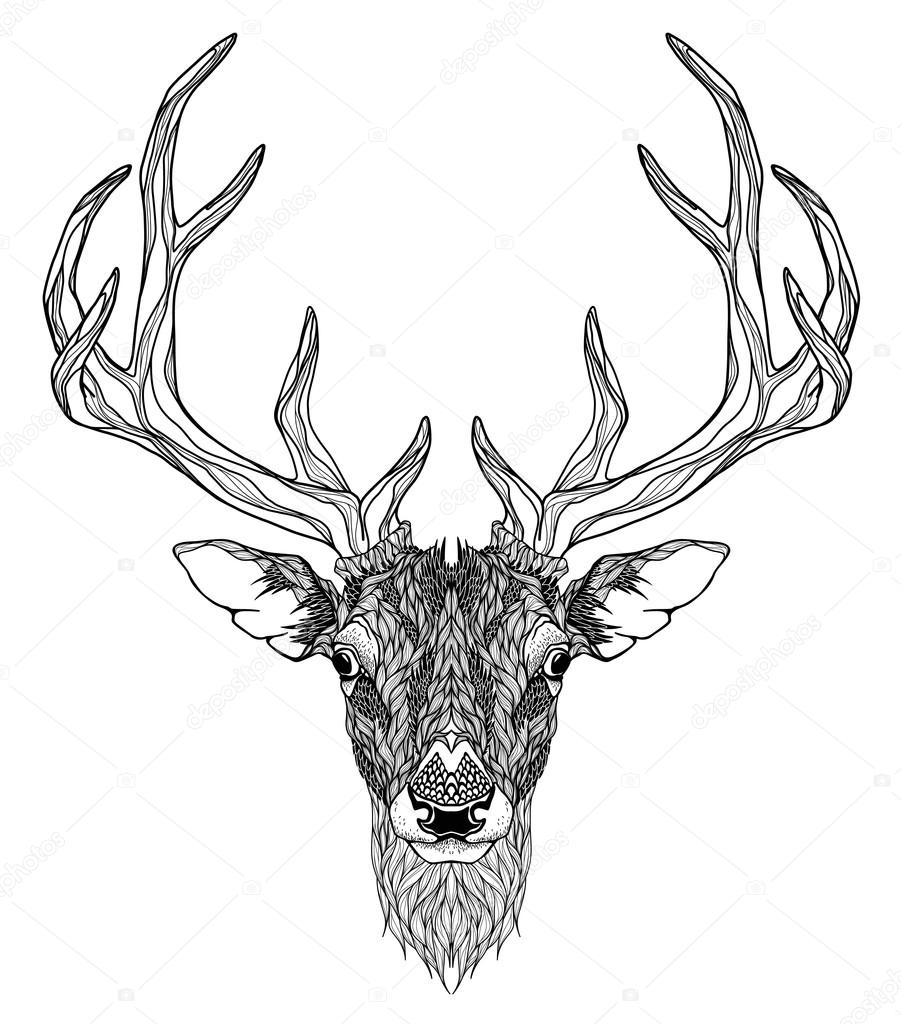 Deer Horns Drawing at GetDrawings Free download