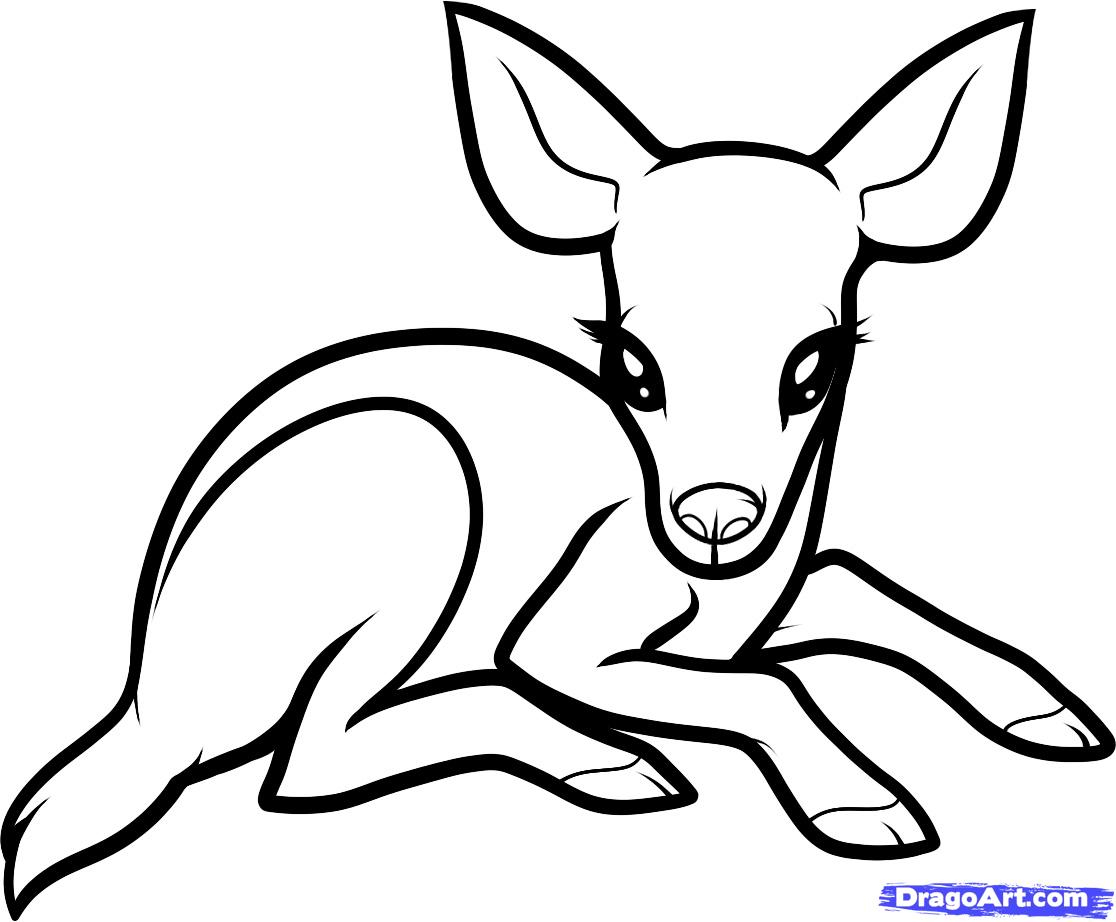 Deer Line Drawing at GetDrawings | Free download