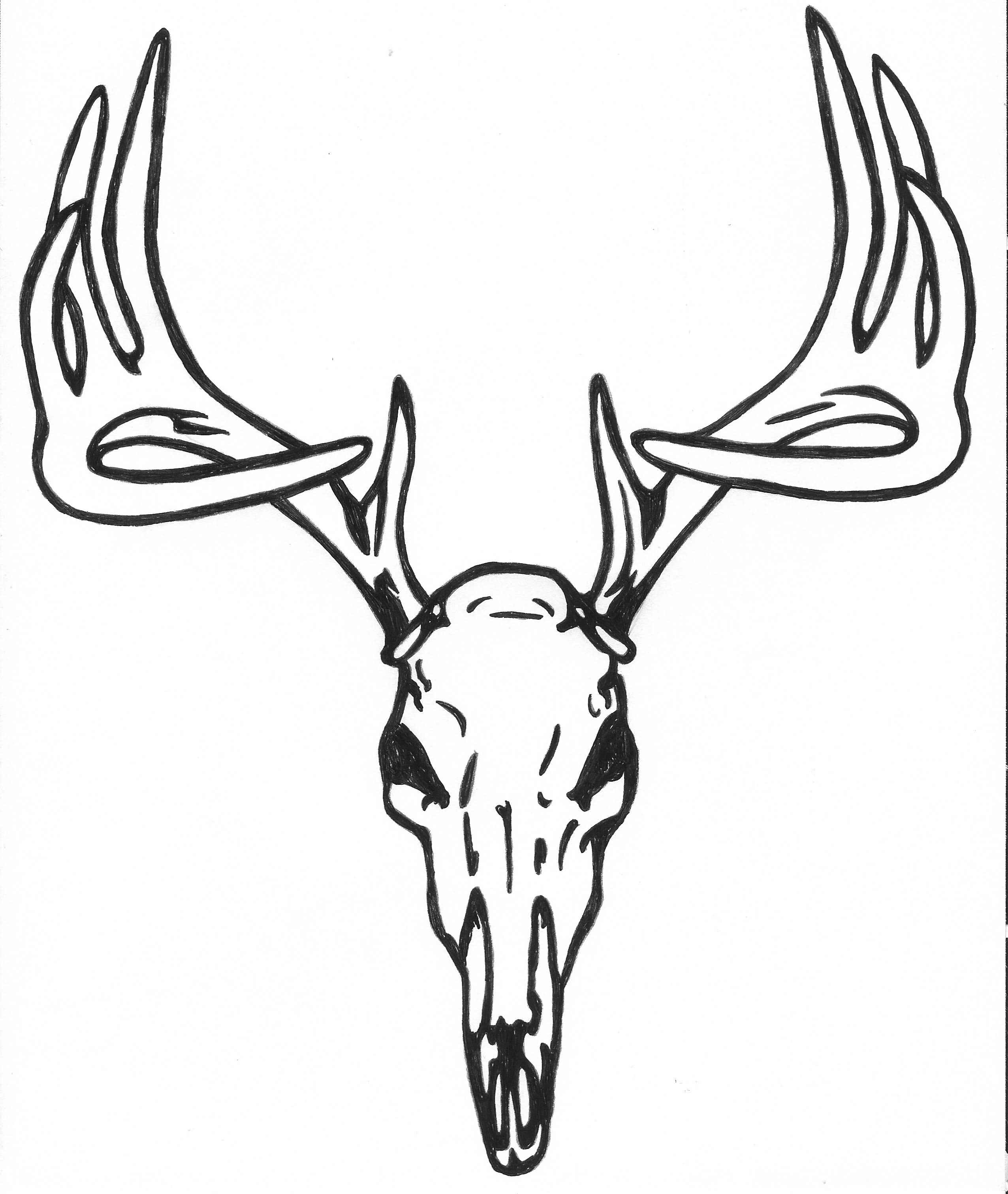 Deer Outline Drawing at GetDrawings | Free download