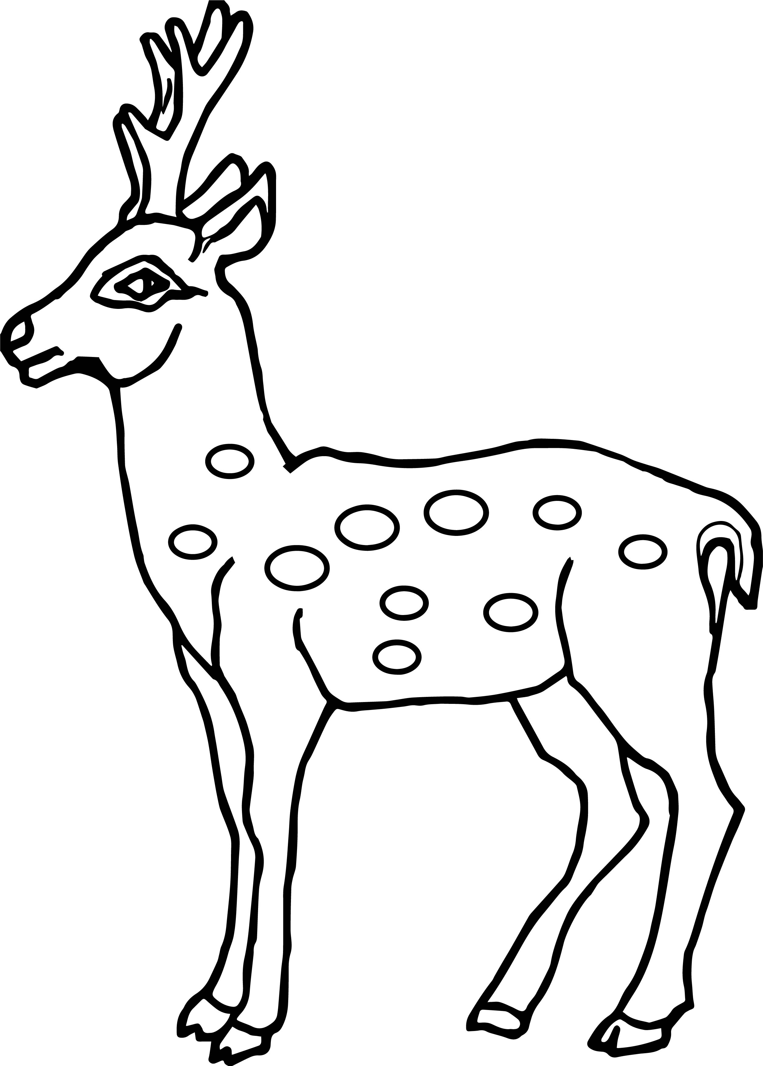Deer Outline Drawing at GetDrawings Free download