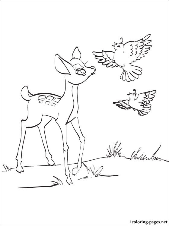 Deer Pencil Drawing at GetDrawings | Free download